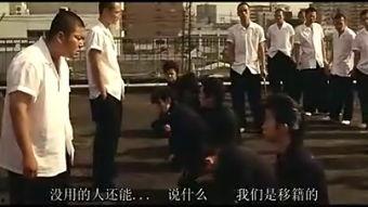 日本暴走少年,揭秘日本暴走少年的叛逆世界