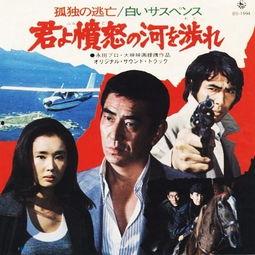 日本日本电影追捕,正义与命运的较量