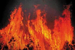 火情火花日本片,日本火情下的生死较量