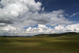 七月的草原视频,绿意盎然的夏日画卷