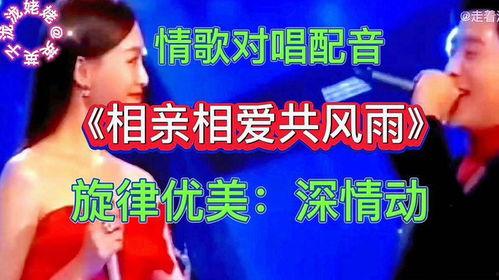 相亲相爱歌曲视频,温情脉脉的亲情之歌