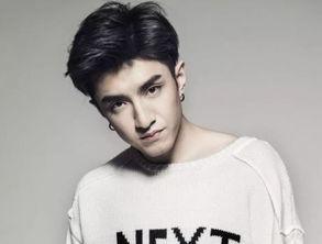 勋鹿总裁x明星,一段闪耀的豪门恋曲