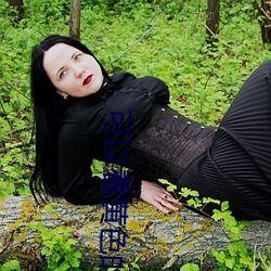 日本漫画无疑琉璃,穿越时空的奇幻之旅