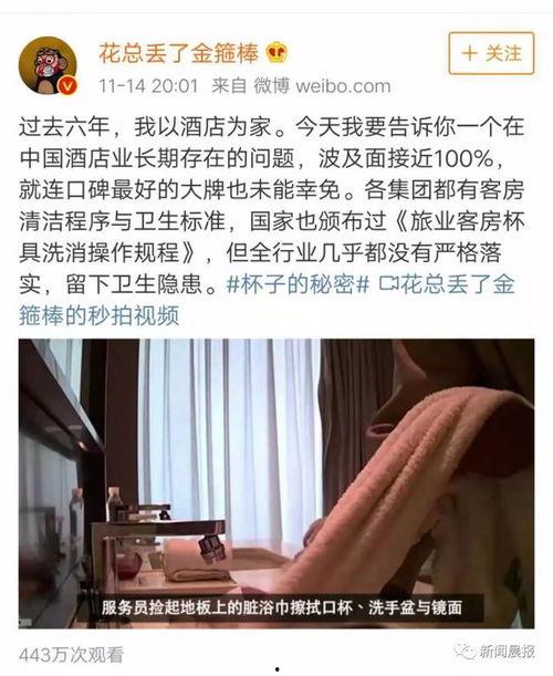 万豪爆料视频大全集,揭秘酒店行业不为人知的秘密