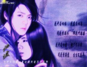 关于韩国明星的小说,韩国明星的璀璨人生