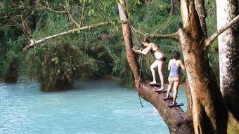 外国女人和狗交配视频,外国女人与狗交配视频的惊人真相